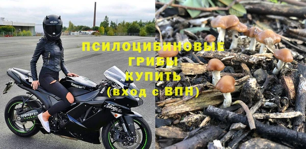 каннабис Алексеевка